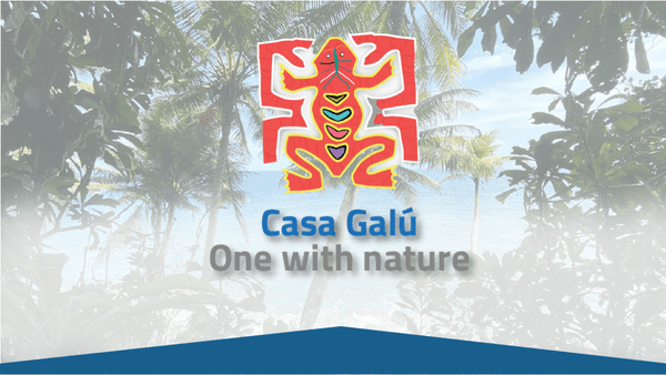 Casa Galú : One with nature