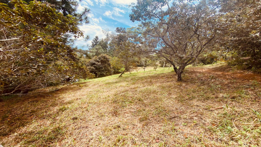 House,For Sale,1249