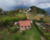 House,For Sale,1249
