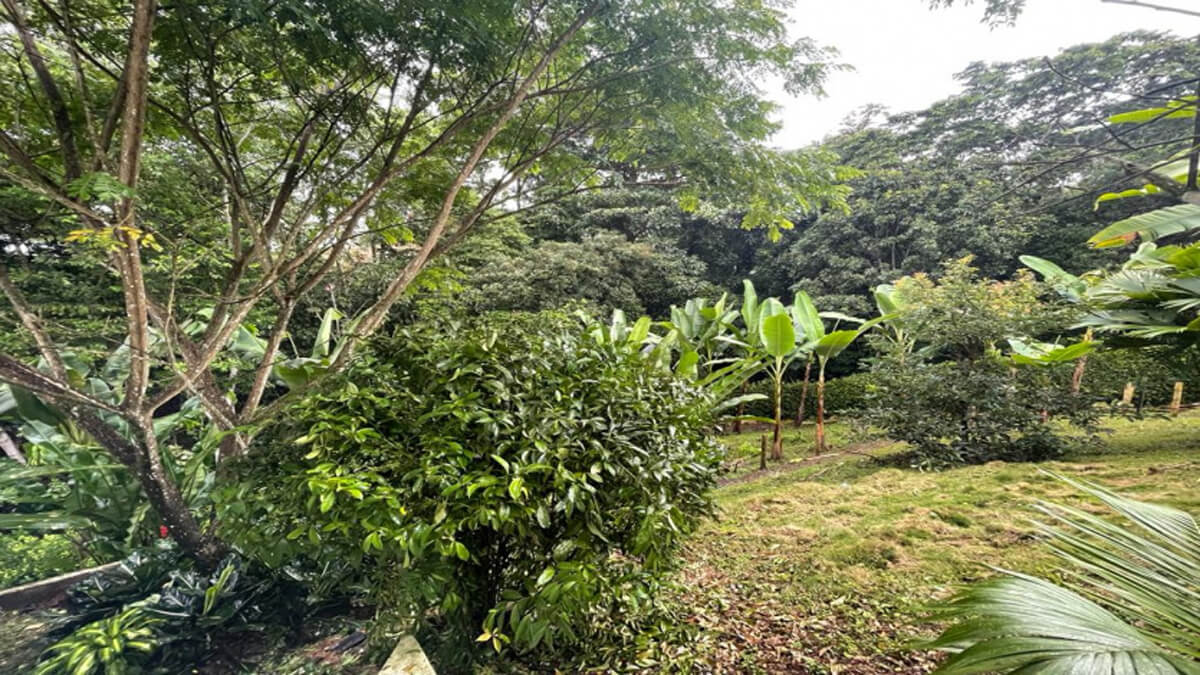 El Tigre, Risaralda, ,House,For Sale,1072